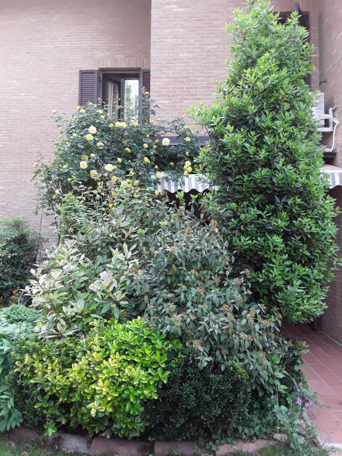 B&B La Rosa Gialla Maranello Kültér fotó