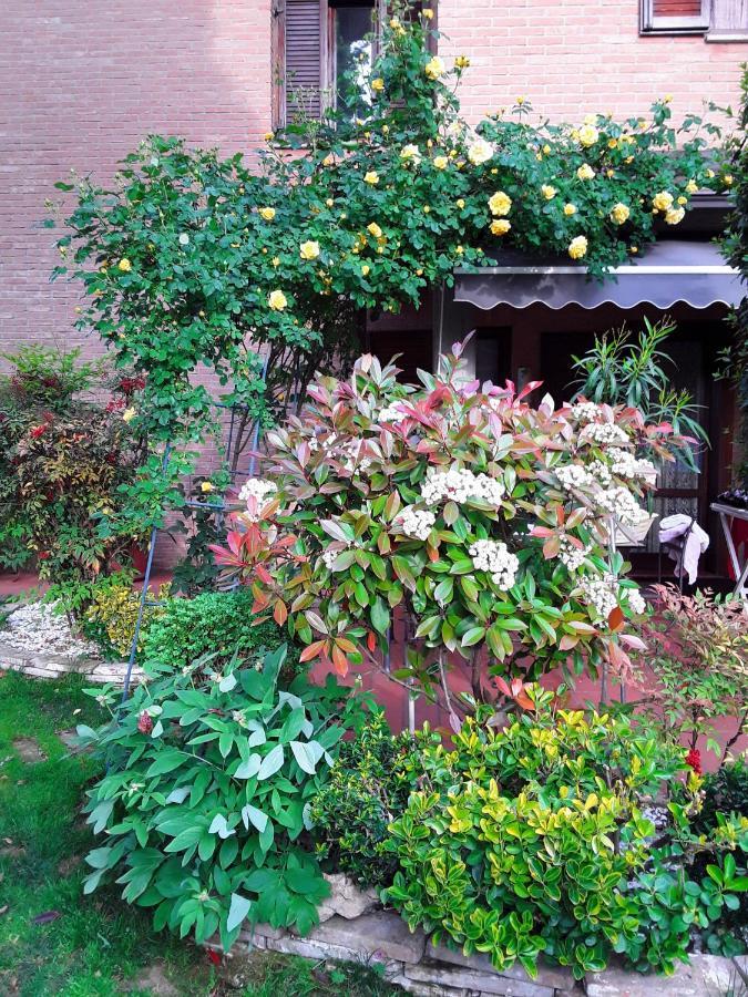 B&B La Rosa Gialla Maranello Kültér fotó