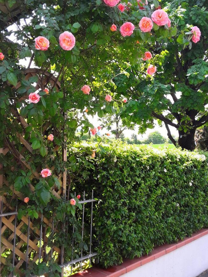 B&B La Rosa Gialla Maranello Kültér fotó