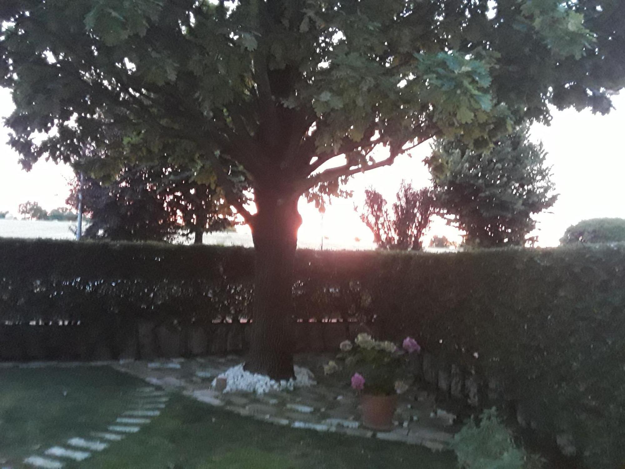 B&B La Rosa Gialla Maranello Kültér fotó